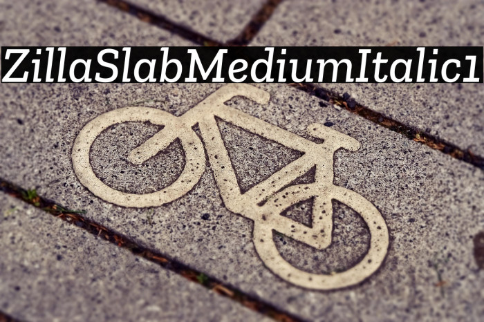 Zilla Slab Medium Italic1 Example 1