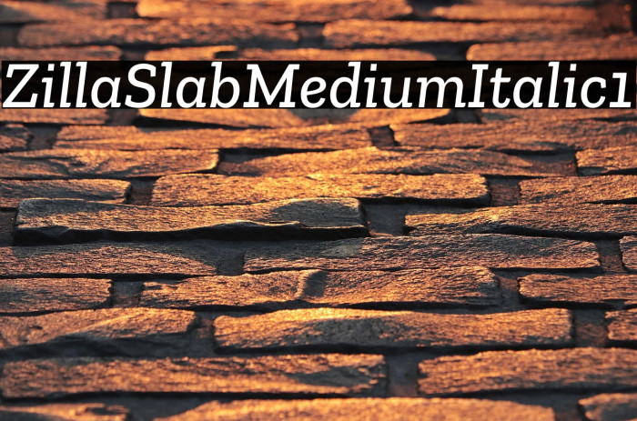 Zilla Slab Medium Italic1 Example 2