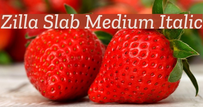 Zilla Slab Medium Italic Font examples