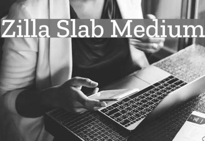 Zilla Slab Medium Font examples
