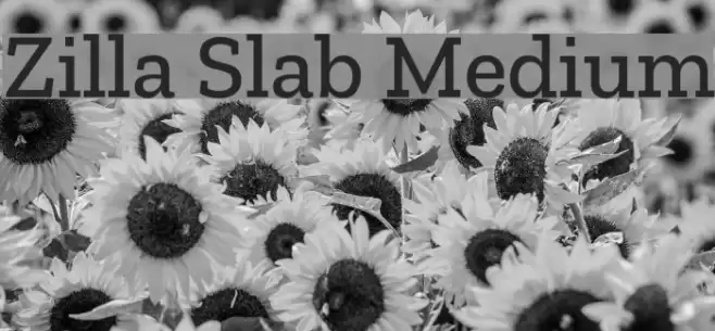 Zilla Slab Medium Font examples