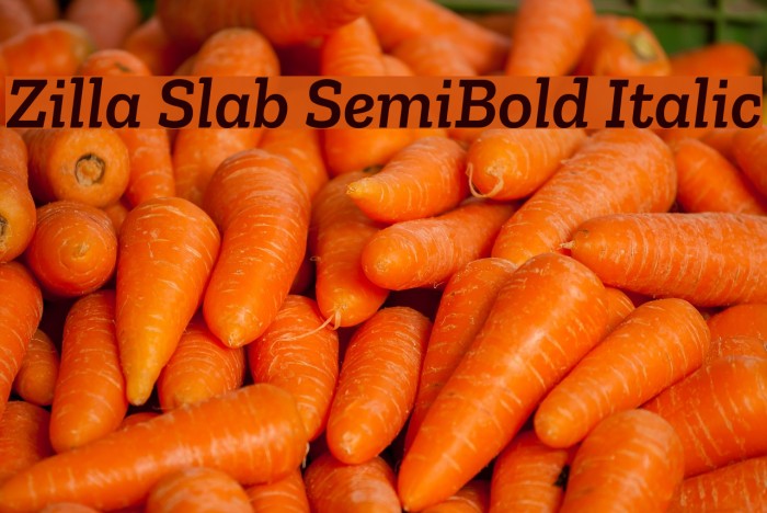 Zilla Slab SemiBold Italic Example 1
