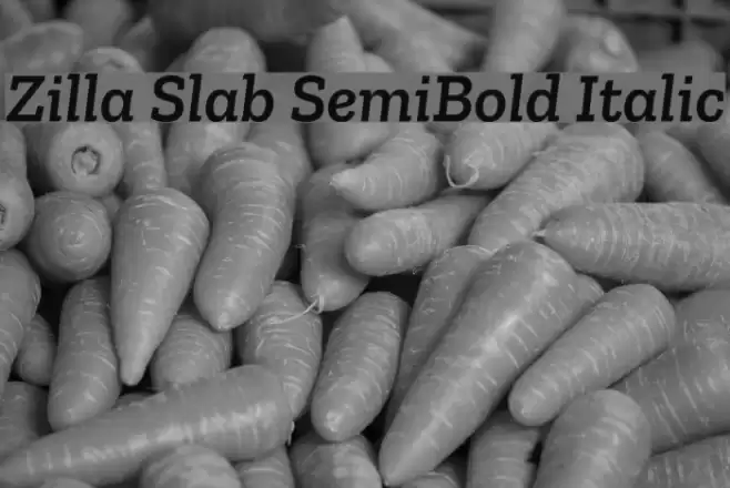 Zilla Slab SemiBold Italic Font examples