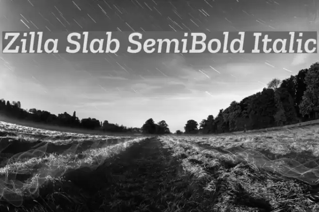 Zilla Slab SemiBold Italic Font examples