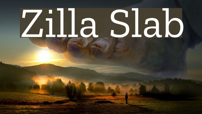 Zilla Slab Font examples