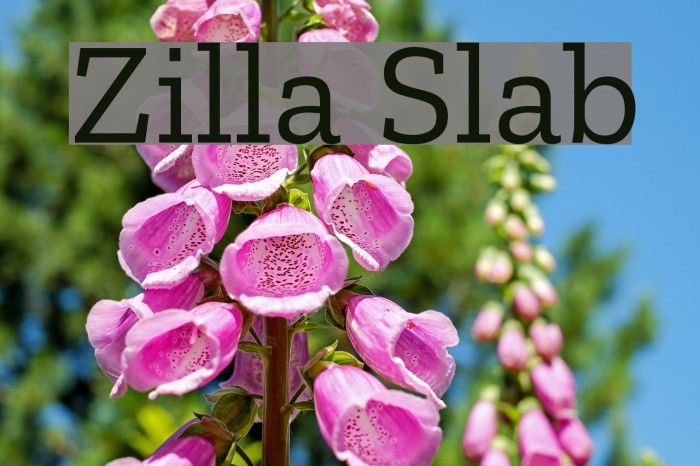 Zilla Slab Font examples