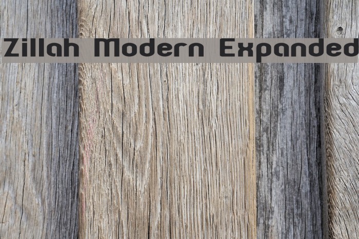 Zillah Modern Expanded Fuentes examples
