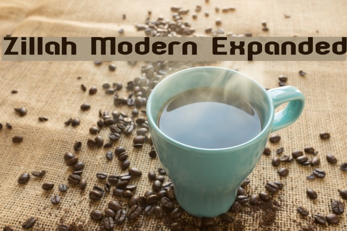 Zillah Modern Expanded Fuentes examples