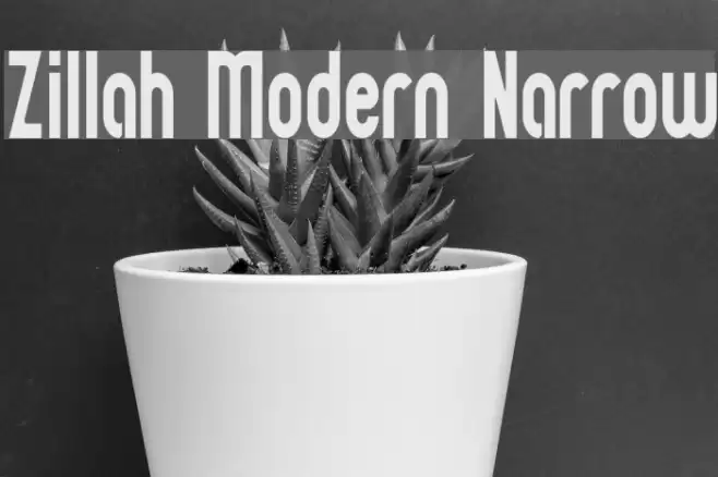 Zillah Modern Narrow Font examples