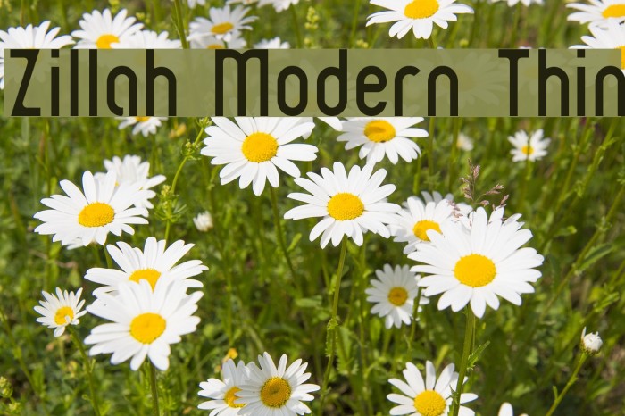 Zillah Modern Thin Font examples