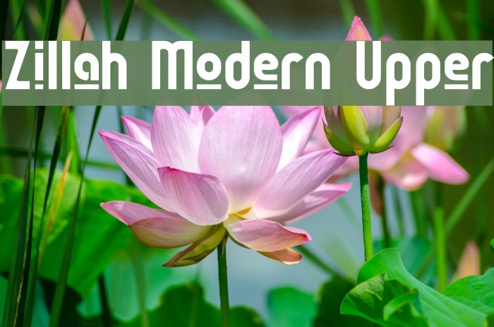 Zillah Modern Upper Font examples