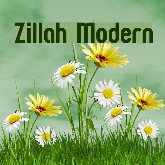 Zillah Modern Font examples