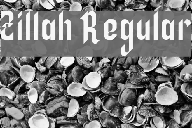 Zillah Regular Fuentes examples