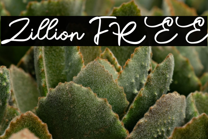 Zillion FREE Example 3