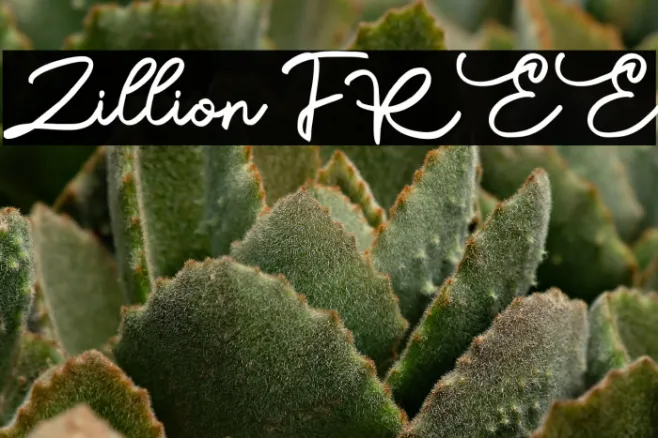 Zillion FREE Example 3