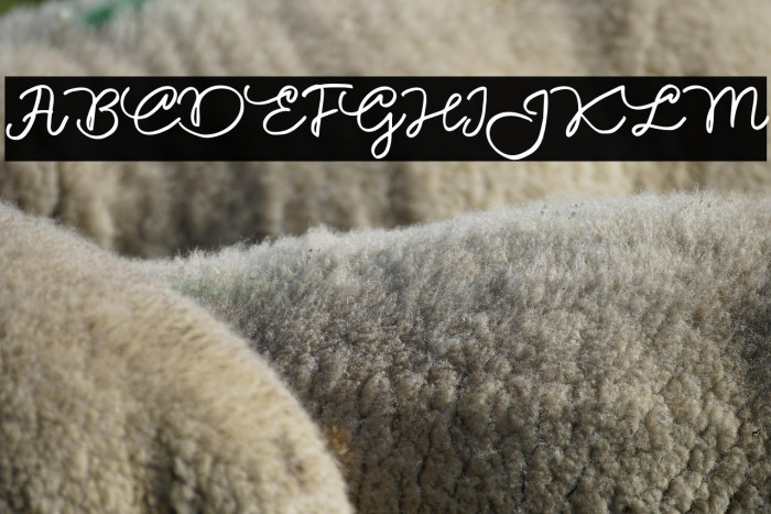 ZillionFREE Example 1