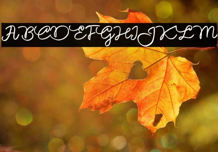 ZillionFREE Example 3