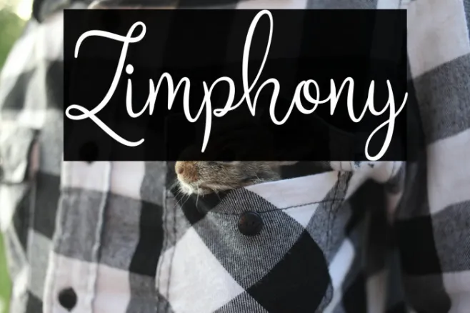 Zimphony Example 2