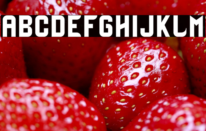 Zinbox-Bold Example 1