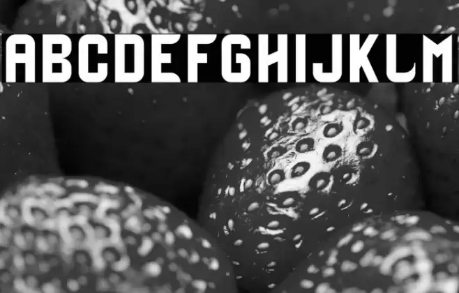 Zinbox-Bold Font examples