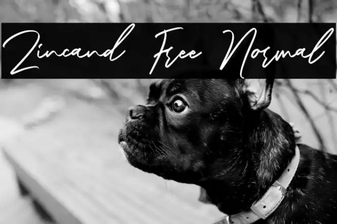 Zincand Free Normal Font examples