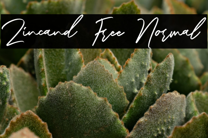 Zincand Free Normal Example 2