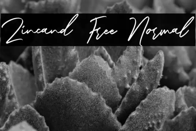 Zincand Free Normal Font examples