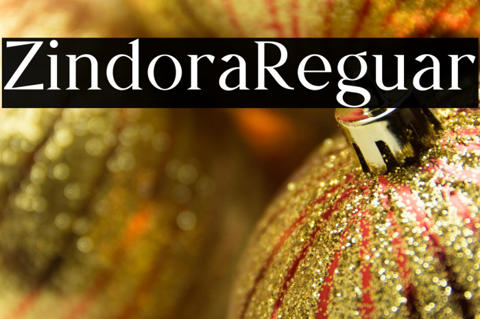 Zindora Regular Example 1