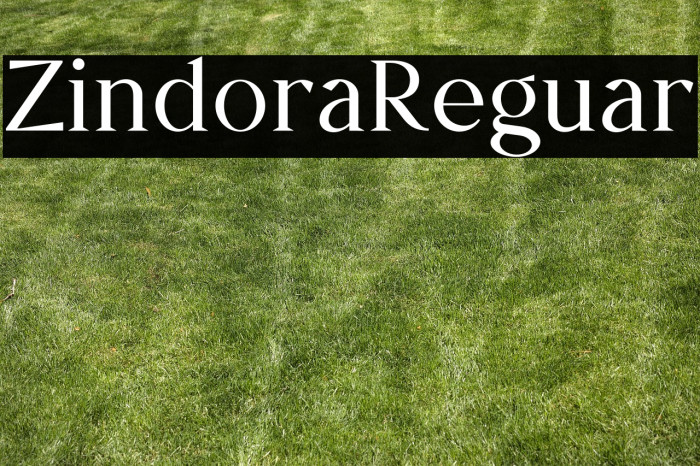Zindora Regular Example 2