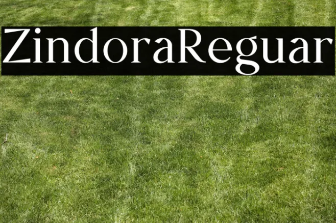 Zindora Regular Example 2