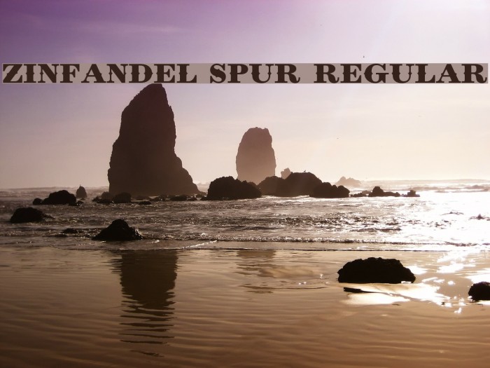 Zinfandel Spur Regular Font examples