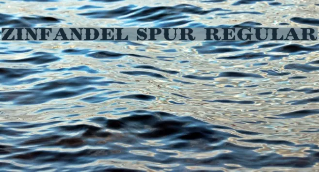 Zinfandel Spur Regular Example 3