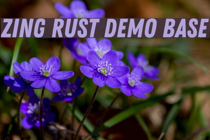 Zing Rust. Zing Rust Demo Base font. Zing script Rust SB Demo Base.