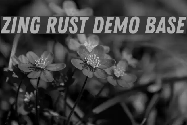 Zing Rust Demo Base Font examples