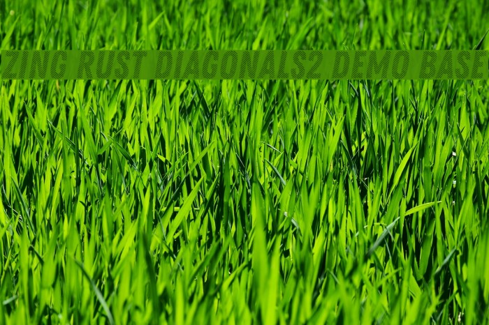 Zing Rust Diagonals2 Demo Base Example 1