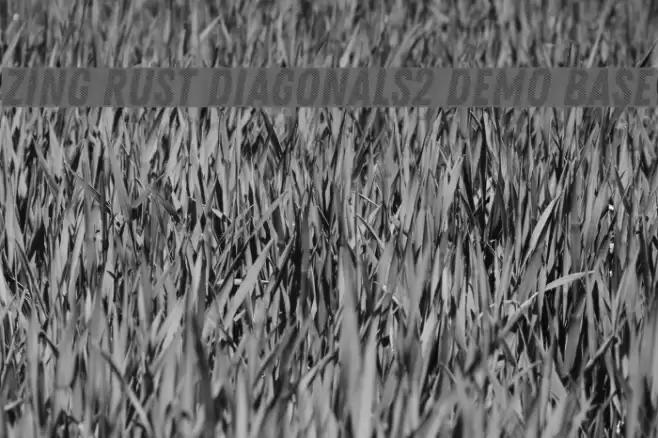 Zing Rust Diagonals2 Demo Base Font examples