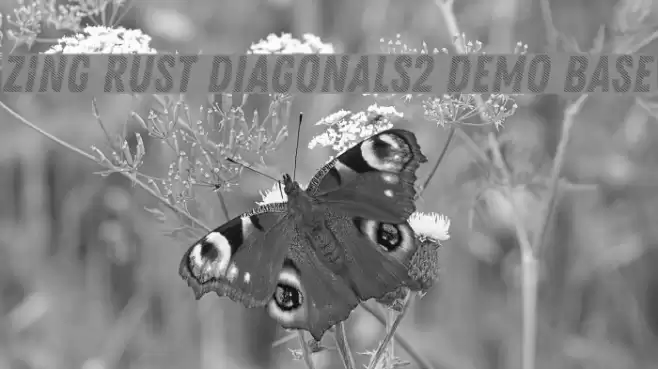 Zing Rust Diagonals2 Demo Base Font examples