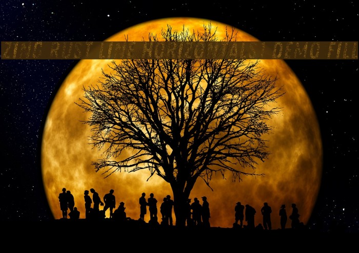 Zing Rust Line Horizontals1 Demo Fill Example 2