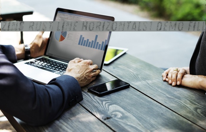 Zing Rust Line Horizontals1 Demo Fill Example 3