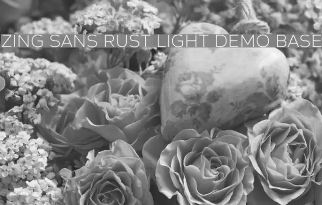 Zing Sans Rust Light Demo Base Font examples