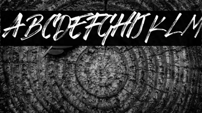 Zingakon Font examples