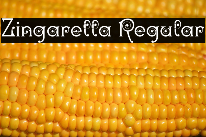 Zingarella Regular Example 3
