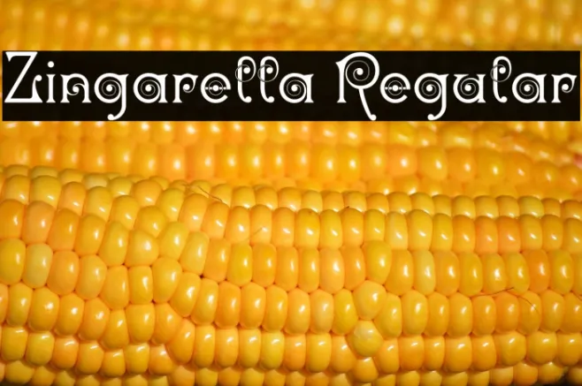 Zingarella Regular Example 3