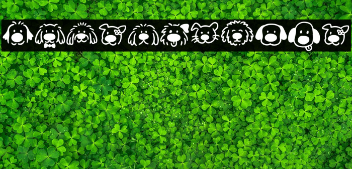 Zingflawdog Example 2