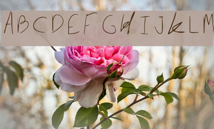 Zinniaseed Regular Font examples
