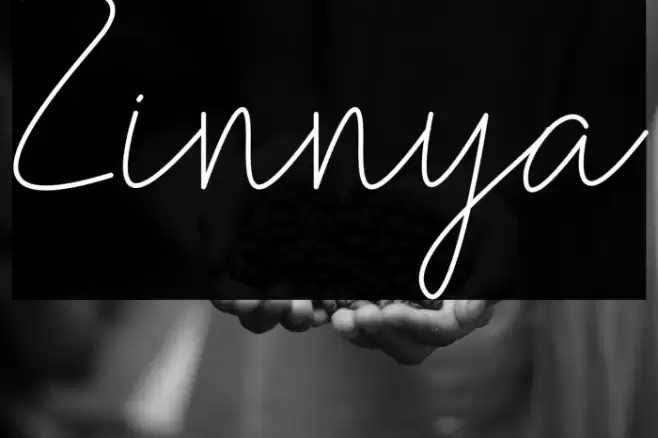 Zinnya Font examples