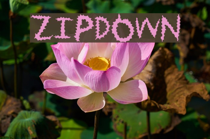ZipDown Font examples