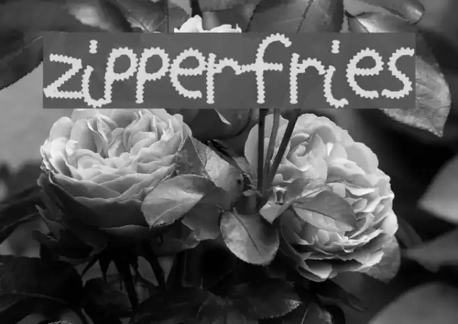 ZipperFries Font examples