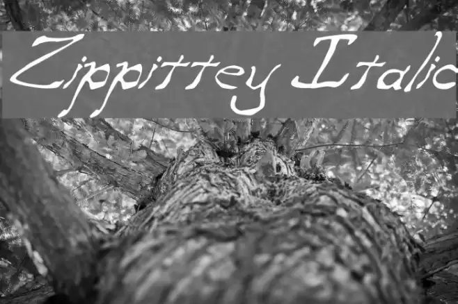 Zippittey Italic Font examples