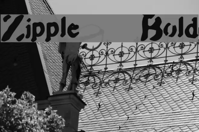 Zipple    Bold Font examples